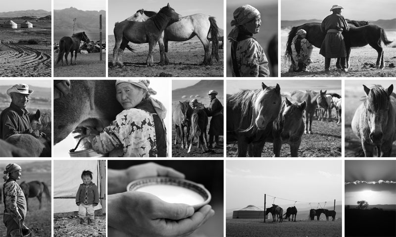 Монголия 2007, фотоэкспедиция в Гоби, очерк Кумыс